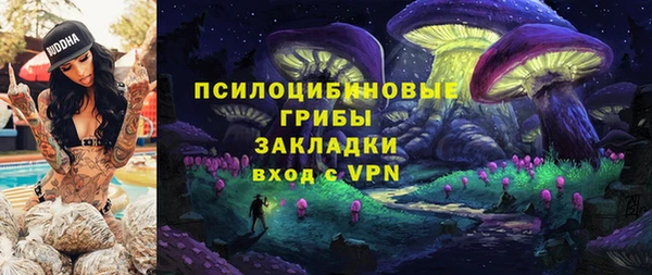 Альфа ПВП Алексин