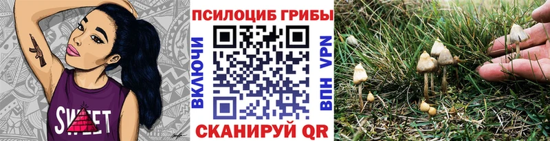 где купить наркоту hydra зеркало Псилоцибиновые грибы Magic Shrooms Болхов